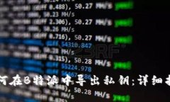 如何在B特派中导出私钥：详细指南