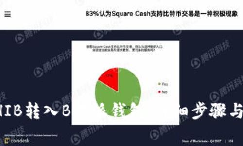 怎样把SHIB转入B特派钱包:详细步骤与注意事项