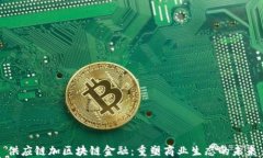供应链加区块链金融：重塑商业生态的未来