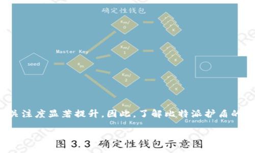比特派护盾评测是近年来数字货币安全领域备受关注的一个话题,特别是在加密货币日益盛行的背景下,用户对数字资产安全的关注度显著提升。因此,了解比特派护盾的评测以及其可靠性变得尤为重要。本文将深入探讨比特派护盾,分析其功能、优势、用户体验和相关问题,帮助用户做出明智的决策。
比特派护盾评测:数字资产安全的利器?