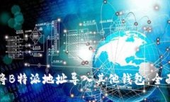如何将B特派地址导入其他钱包：全面指南