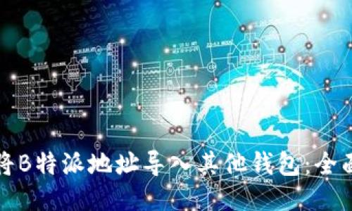如何将B特派地址导入其他钱包:全面指南