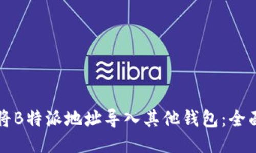 如何将B特派地址导入其他钱包:全面指南