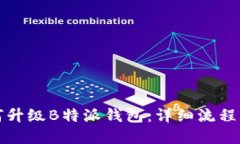 如何升级B特派钱包：详细流程图解