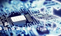 思考一个符合大众和  Bitpie交易时间查询：全面了