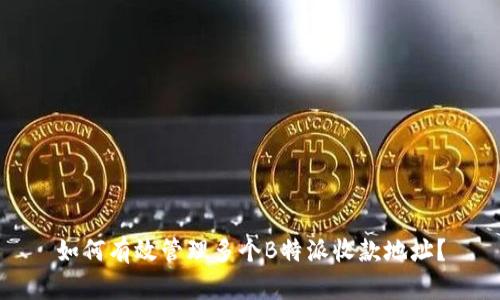 如何有效管理多个B特派收款地址?