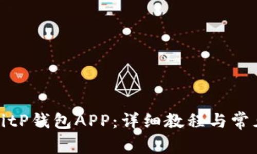如何安装BitP钱包APP:详细教程与常见问题解答