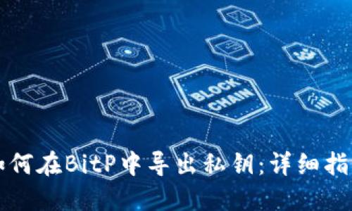 如何在BitP中导出私钥:详细指南