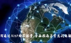 如何通过BitP购买能量：全面指南与常见问题解答