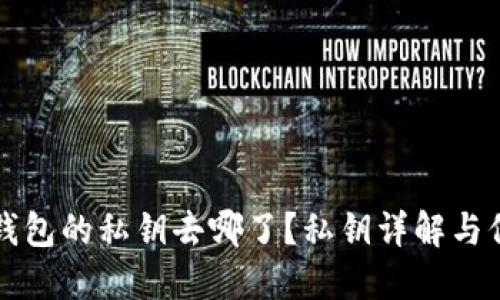 比特派钱包的私钥去哪了?私钥详解与保护指南
