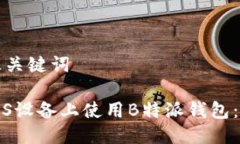 思考的及关键词如何在iOS设备上使用B特派钱包：