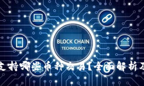 BitP钱包支持哪些币种交易?全面解析及使用指南