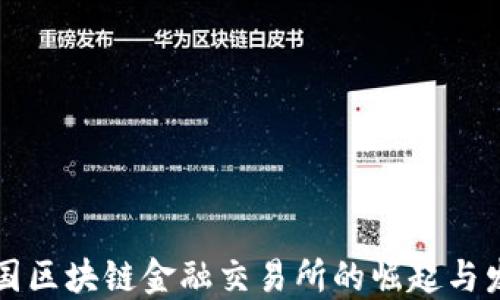 美国区块链金融交易所的崛起与发展