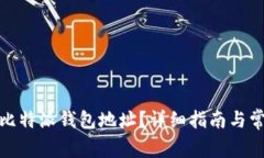 : 如何获取比特派钱包地址？详细指南与常见问题