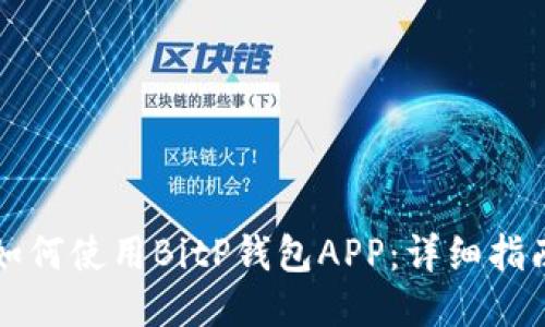 如何使用BitP钱包APP:详细指南