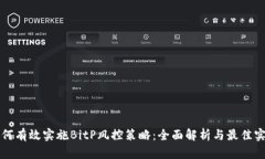 如何有效实施BitP风控策略：全面解析与最佳实践