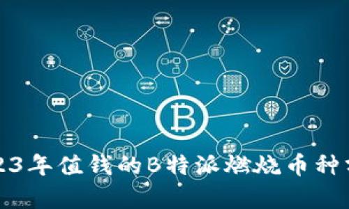 2023年值钱的B特派燃烧币种分析