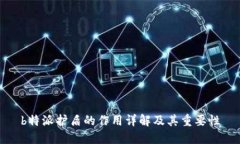 b特派护盾的作用详解及其重要性