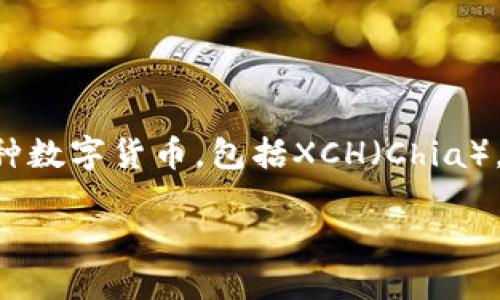 特派钱包(也称为B特派钱包或B Wallet)是一个数字货币钱包,允许用户存储、发送和接收多种数字货币,包括XCH(Chia)。为了更好地帮助如何在特派钱包中添加XCH,加添相关信息和解答问题,下面将给出详细介绍。
B特派钱包如何添加XCH(Chia)