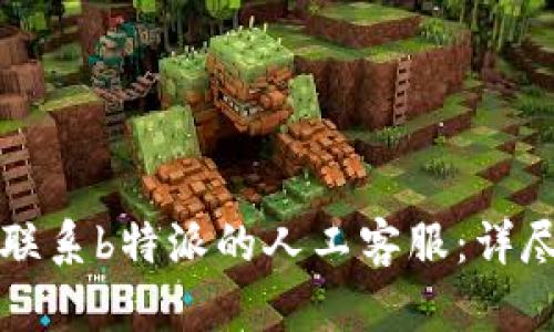 如何联系b特派的人工客服:详尽指南