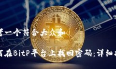 思考一个符合大众和 如何在BitP平台上找回密码：
