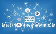 如何了解BitP审核中的常见问题及解决方案