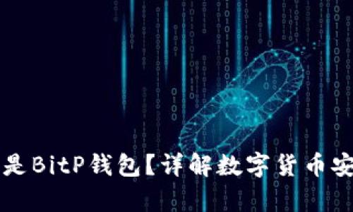### 什么是BitP钱包?详解数字货币安全存储工具