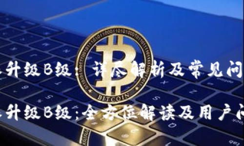 比特派升级B级: 详尽解析及常见问题解答
比特派升级B级:全方位解读及用户问答