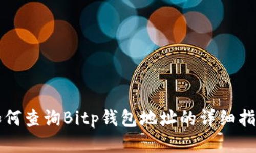 如何查询Bitp钱包地址的详细指南