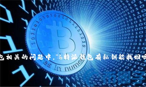 特派钱包是一款为用户提供加密货币管理和交易的数字钱包应用。关于私钥的找回,这是数字钱包安全性和用户权益的重要主题。在与特派钱包相关的问题中,“b特派钱包有私钥能找回吗?”是一个常见的疑问。为了更好地解答这个问题,我们将从多个角度进行深入探讨,包括私钥的概念、如何找回私钥、预防措施以及解决方案等。
### 如何安全使用特派钱包,私钥是否可以找回?