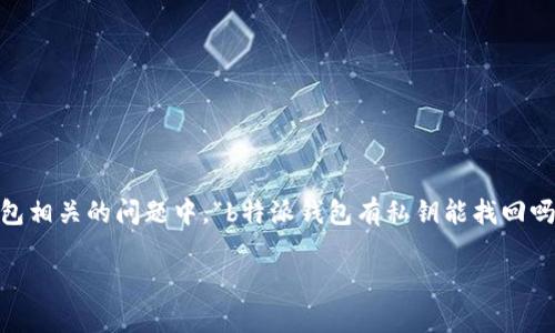特派钱包是一款为用户提供加密货币管理和交易的数字钱包应用。关于私钥的找回,这是数字钱包安全性和用户权益的重要主题。在与特派钱包相关的问题中,“b特派钱包有私钥能找回吗?”是一个常见的疑问。为了更好地解答这个问题,我们将从多个角度进行深入探讨,包括私钥的概念、如何找回私钥、预防措施以及解决方案等。
### 如何安全使用特派钱包,私钥是否可以找回?