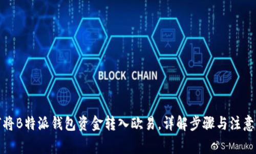 如何将B特派钱包资金转入欧易,详解步骤与注意事项