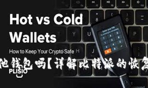 比特派能恢复其他钱包吗?详解比特派的恢复功能与操作步骤