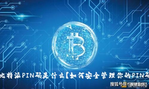 比特派PIN码是什么?如何安全管理你的PIN码