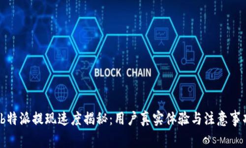 “b特派提现速度揭秘:用户真实体验与注意事项”
