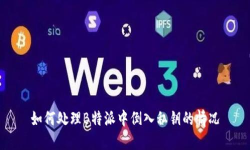 如何处理B特派中倒入私钥的情况