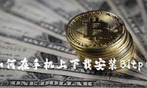 完整教程:如何在手机上下载安装Bitp钱包视频指南