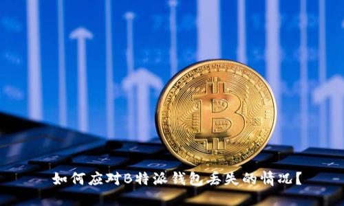 如何应对B特派钱包丢失的情况?