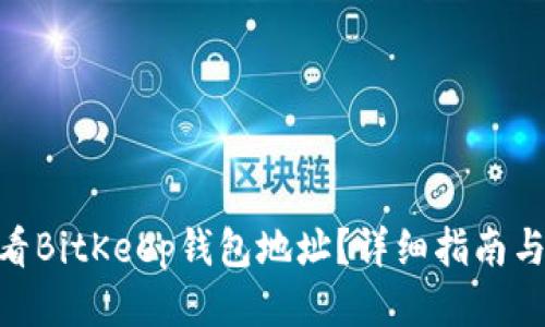 : 如何查看BitKeep钱包地址?详细指南与操作步骤