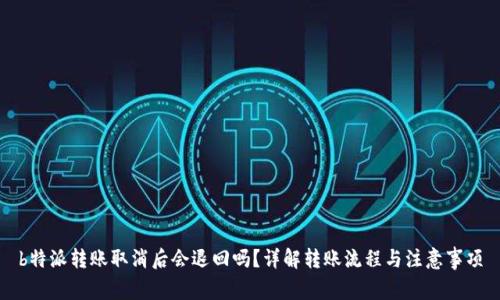 b特派转账取消后会退回吗？详解转账流程与注意事项