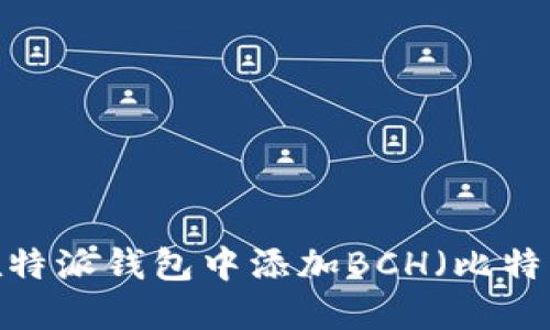 如何在特派钱包中添加BCH(比特币现金)