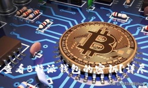 如何查看B特派钱包的密钥?详尽指南