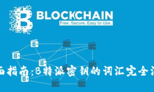 全面指南:B特派密钥的词汇完全汇总