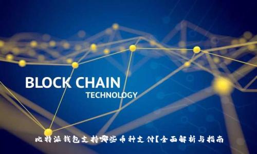 比特派钱包支持哪些币种支付?全面解析与指南