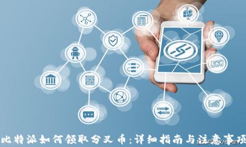 
比特派如何领取分叉币：详细指南与注意事项