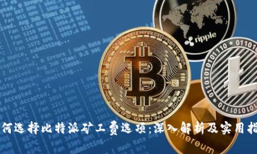 如何选择比特派矿工费选项：深入解析及实用指南