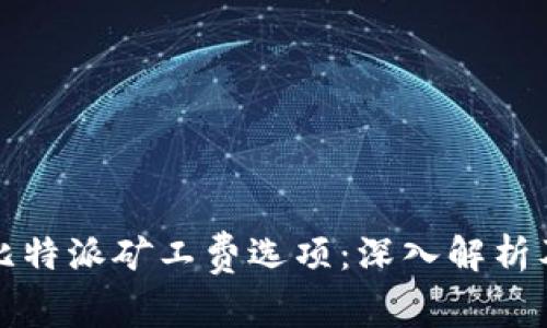 如何选择比特派矿工费选项：深入解析及实用指南
