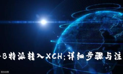 如何将B特派转入XCH：详细步骤与注意事项