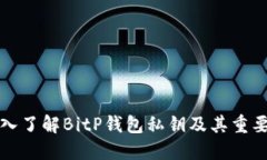 深入了解BitP钱包私钥及其重要性