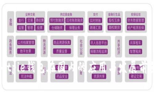 Bitpie钱包在国内的应用与发展前景